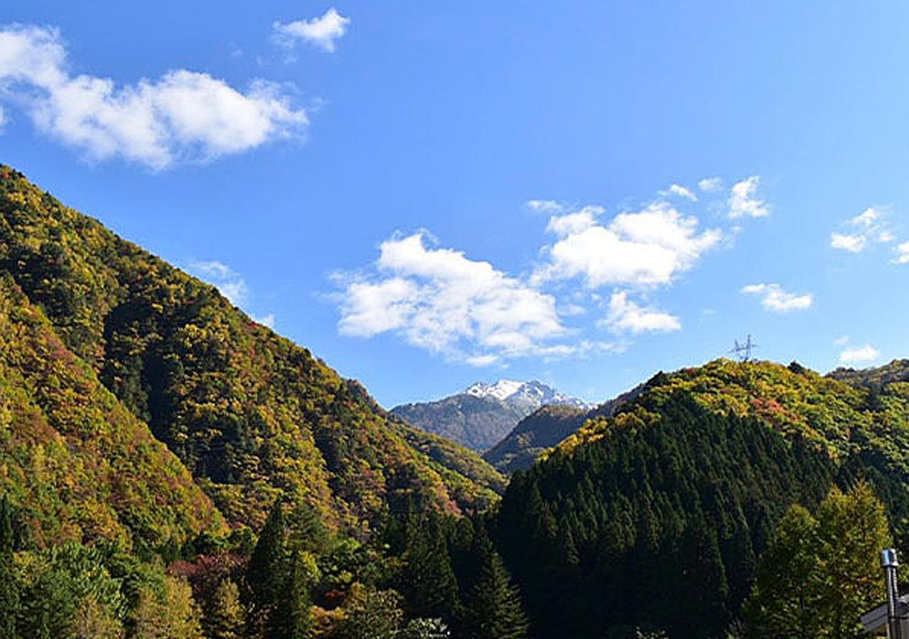 Готель 筋肉と自然と遊ぶ宿 田島館 Такаяма Номер фото